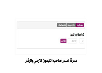 معرفة اسم صاحب الخط الأرضي بالرقم